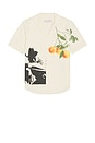 view 1 of 4 CAMISA CAMPESTRE ANGEL OF THE FIELD in Ivory