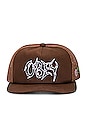 view 1 of 3 Thornz Twill Trucker Hat in Sepia