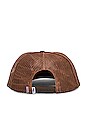 view 3 of 3 Thornz Twill Trucker Hat in Sepia