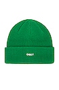 view 1 of 2 Future Beanie in Fern Green