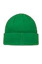 view 2 of 2 Future Beanie in Fern Green