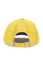 view 2 of 2 Farms 6 Panel Strapback Cap in Mustard