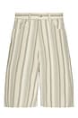 view 1 of 3 Baja Stripe Baggy Denim Shorts in Dried Sage