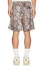 view 2 of 4 Stanton Shorts in Fence Camo