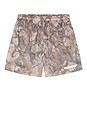 view 4 of 4 Stanton Shorts in Fence Camo