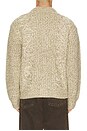 view 2 of 4 Isar Button Up Sweater in Silver Sage Multi