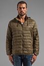 view 1 of 6 Blackout Lightweight Puffer Jacket in Army