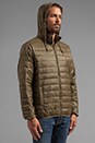 view 3 of 6 Blackout Lightweight Puffer Jacket in Army