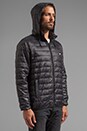 view 3 of 6 Blackout Lightweight Puffer Jacket in Black