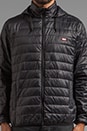 view 5 of 6 Blackout Lightweight Puffer Jacket in Black