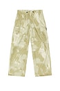 view 5 of 6 Giant Cargo Pant in Brushed Camo