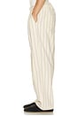 view 2 of 6 Foster Pleated Stripe Pant in Canvas Multi