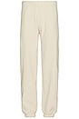 view 2 of 5 Lowercase Pigment Sweatpant in Clay