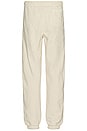 view 3 of 5 Lowercase Pigment Sweatpant in Clay