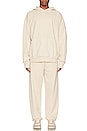 view 5 of 5 Lowercase Pigment Sweatpant in Clay