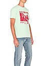 view 2 of 4 Bad Brains PMA Photo Tee in Mint