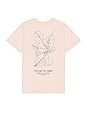 view 1 of 3 Tシャツ in Sago