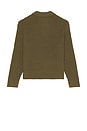 view 2 of 4 Duane Sweater Polo in Tea Leaf