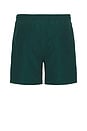 view 2 of 6 Easy Swim Shorts in Pine
