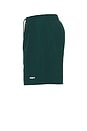 view 3 of 6 Easy Swim Shorts in Pine