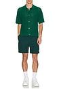 view 6 of 6 Easy Swim Shorts in Pine