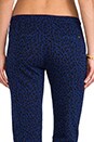 view 6 of 7 Lola Leopard Print Sweatpant in Cobalt