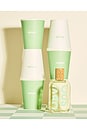 view 5 of 11 Milk & Matcha in 