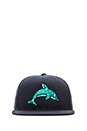 view 1 of 3 Dolphin Donut Cap in Navy