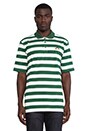 view 1 of 4 Taco Green Stripe Polo in Green