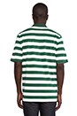 view 3 of 4 Taco Green Stripe Polo in Green