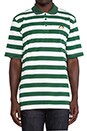 view 4 of 4 Taco Green Stripe Polo in Green