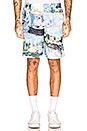 view 1 of 5 Lake Mesh Shorts in All Over Multi