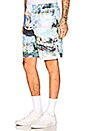 view 3 of 5 Lake Mesh Shorts in All Over Multi