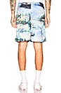 view 4 of 5 Lake Mesh Shorts in All Over Multi