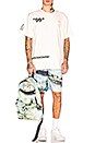 view 5 of 5 Lake Mesh Shorts in All Over Multi