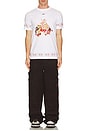 view 6 of 6 Overdyed Carpenter Pant in Chocolate & Red