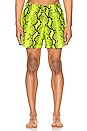 view 1 of 6 Snake Swimshorts in Yellow