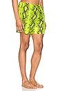 view 2 of 6 Snake Swimshorts in Yellow