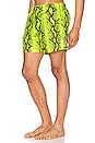 view 3 of 6 Snake Swimshorts in Yellow