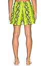 view 4 of 6 Snake Swimshorts in Yellow