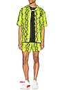 view 5 of 6 Snake Swimshorts in Yellow