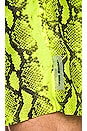view 6 of 6 Snake Swimshorts in Yellow