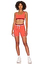 view 4 of 4 Athleisure Logo Band Short in Coral & Red