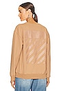 view 1 of 4 Diag Regular Crewneck in Brown