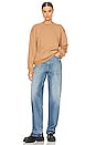 view 4 of 4 Diag Regular Crewneck in Brown
