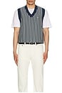 view 5 of 5 Vertical Stripe Sweater Vest in Blue Wing Teal