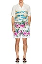 view 4 of 4 Hibiscus Scene Camp Shirt in Bright White