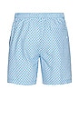 view 2 of 4 Recycled Poly Swim Short in Skydiver