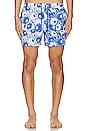 view 4 of 4 Stretch All Over Print Swim Short in Skydiver