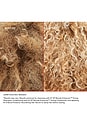 view 6 of 8 No. 4-P Blonde Enhancer Toning Shampoo in 